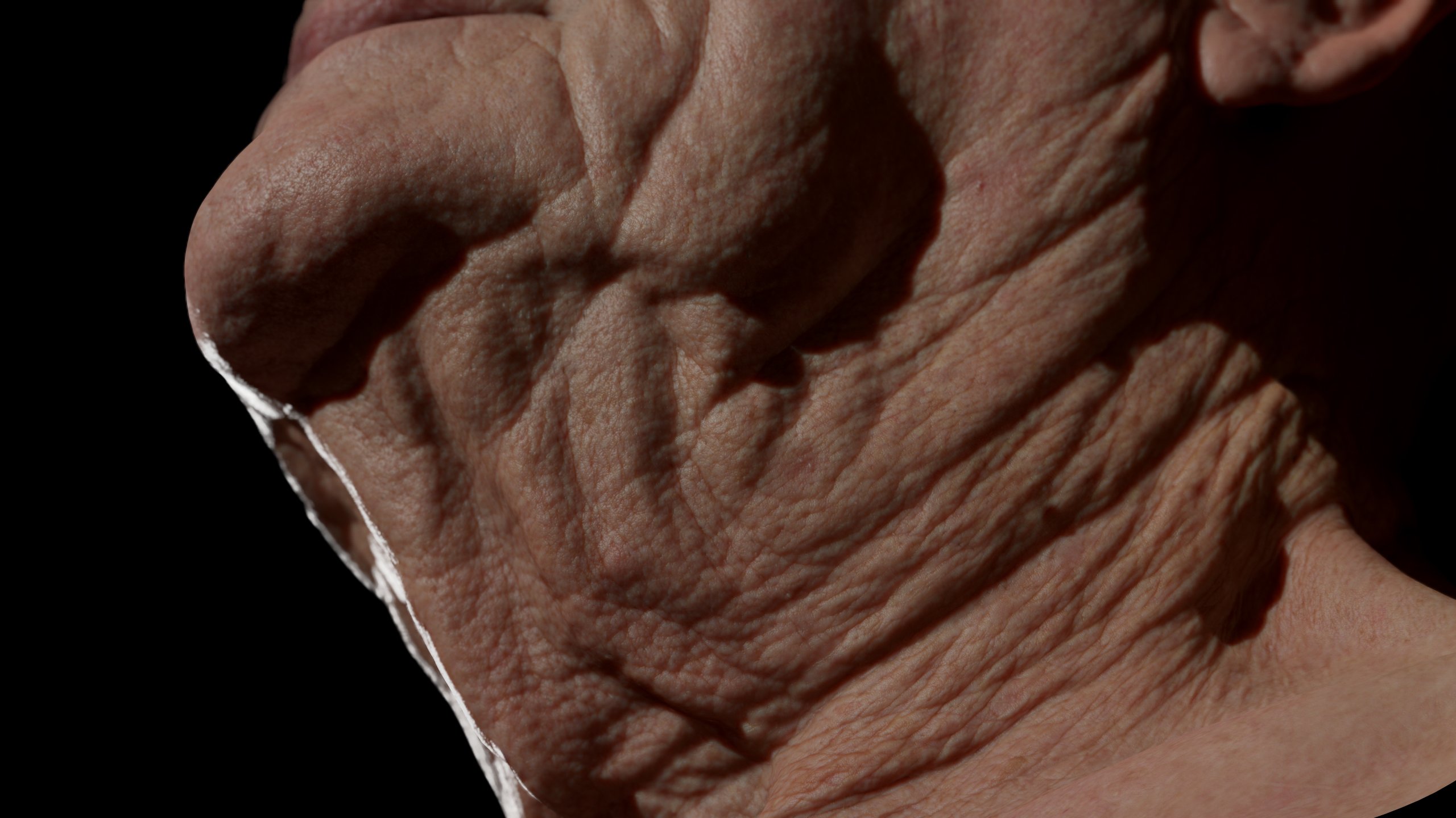 3D Skin wrinkles sculpting